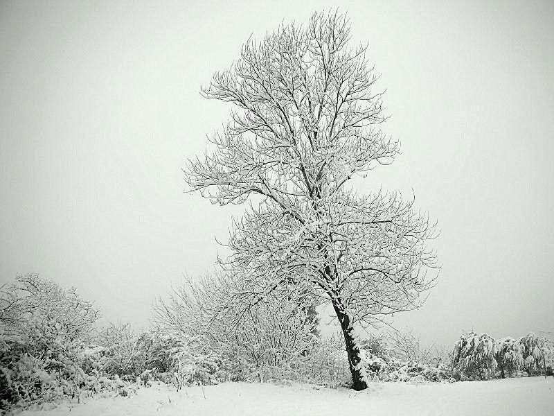 Panorami innevati